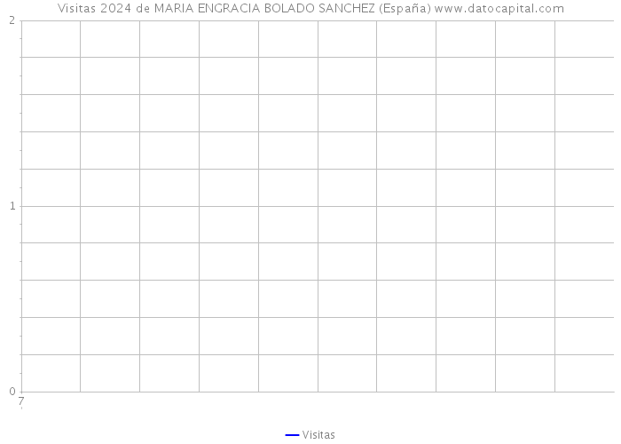 Visitas 2024 de MARIA ENGRACIA BOLADO SANCHEZ (España) 