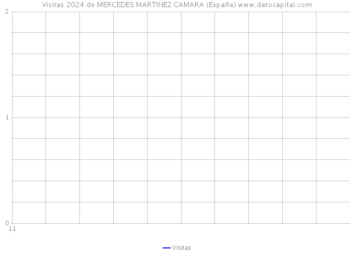 Visitas 2024 de MERCEDES MARTINEZ CAMARA (España) 