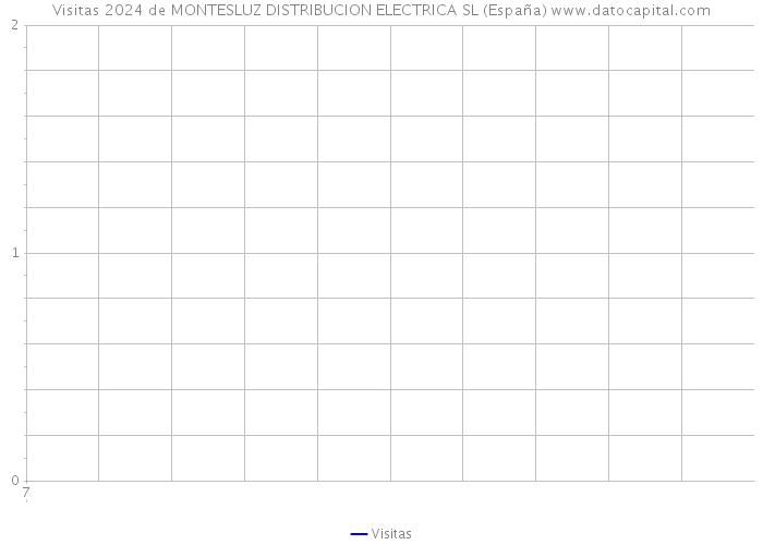 Visitas 2024 de MONTESLUZ DISTRIBUCION ELECTRICA SL (España) 