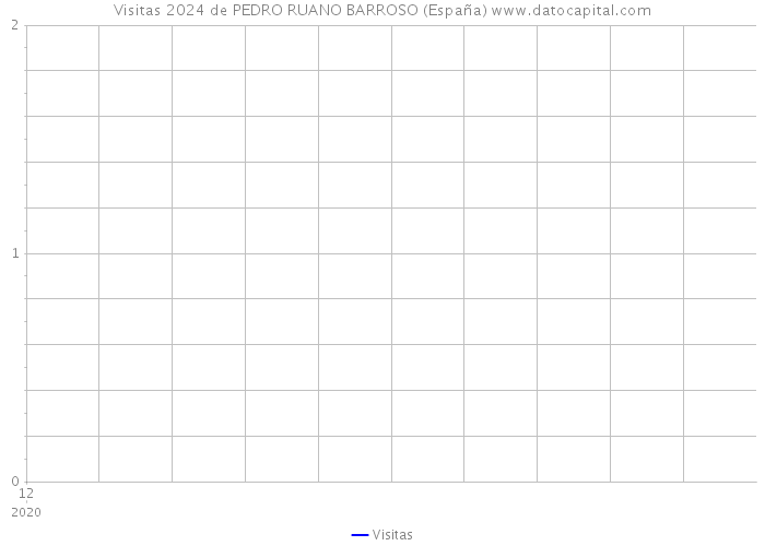 Visitas 2024 de PEDRO RUANO BARROSO (España) 