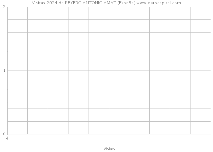 Visitas 2024 de REYERO ANTONIO AMAT (España) 