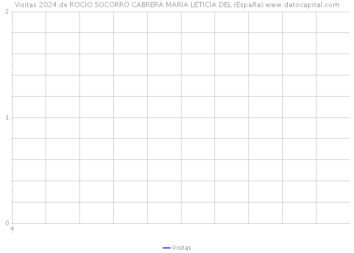 Visitas 2024 de ROCIO SOCORRO CABRERA MARIA LETICIA DEL (España) 
