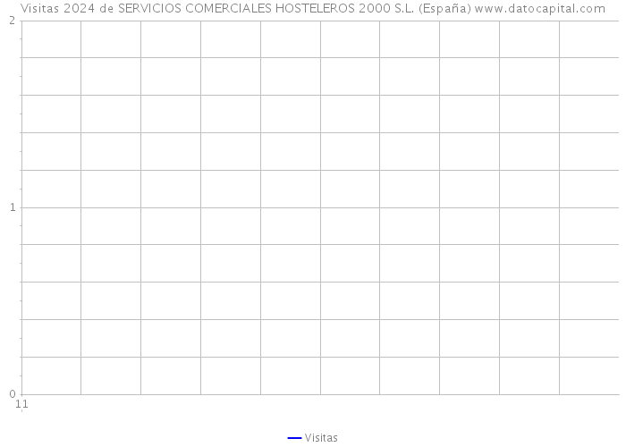 Visitas 2024 de SERVICIOS COMERCIALES HOSTELEROS 2000 S.L. (España) 