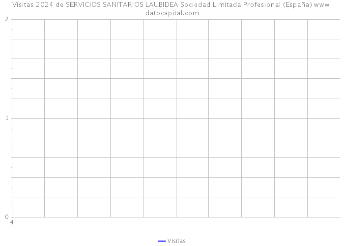 Visitas 2024 de SERVICIOS SANITARIOS LAUBIDEA Sociedad Limitada Profesional (España) 