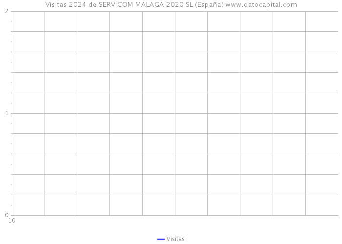 Visitas 2024 de SERVICOM MALAGA 2020 SL (España) 