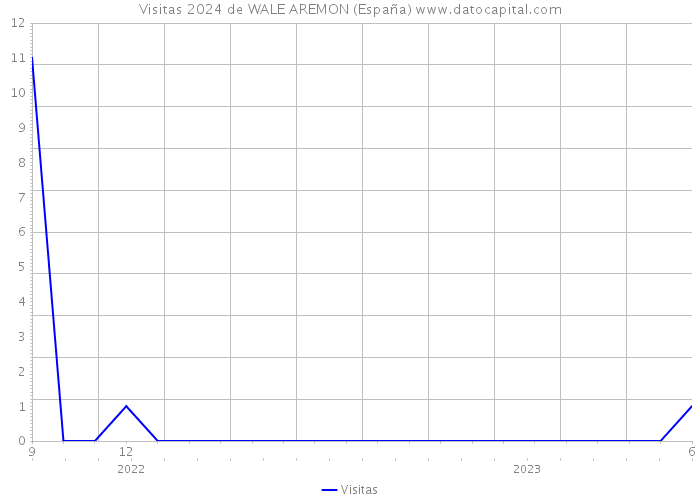 Visitas 2024 de WALE AREMON (España) 