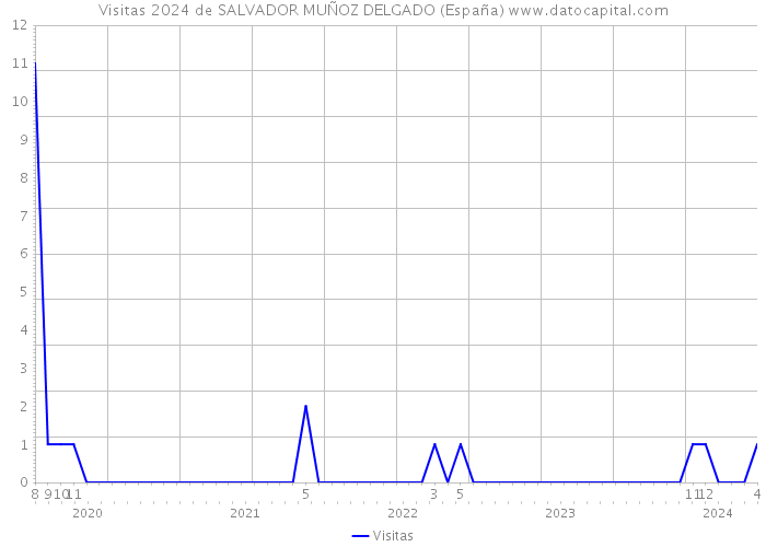 Visitas 2024 de SALVADOR MUÑOZ DELGADO (España) 