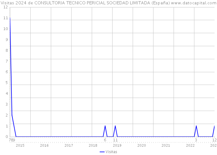 Visitas 2024 de CONSULTORIA TECNICO PERICIAL SOCIEDAD LIMITADA (España) 