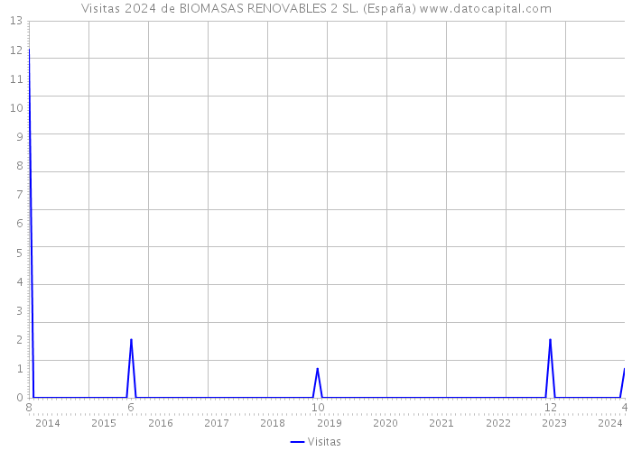 Visitas 2024 de BIOMASAS RENOVABLES 2 SL. (España) 