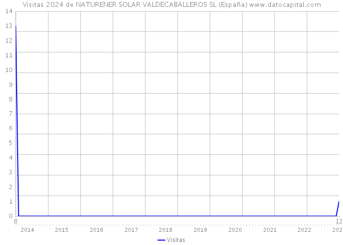 Visitas 2024 de NATURENER SOLAR VALDECABALLEROS SL (España) 