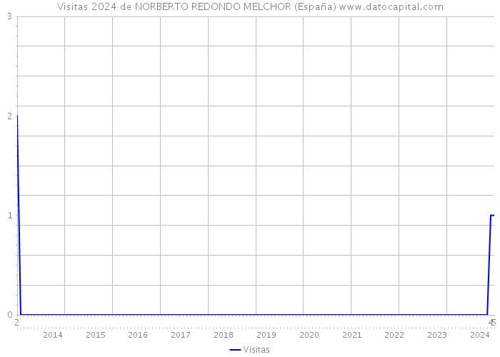 Visitas 2024 de NORBERTO REDONDO MELCHOR (España) 