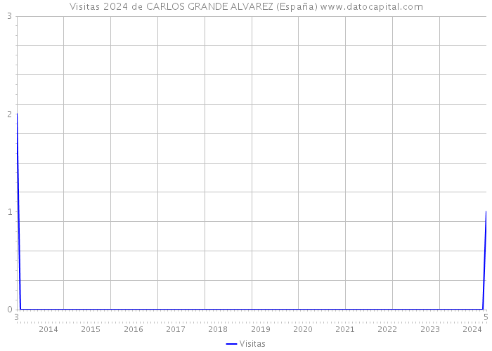 Visitas 2024 de CARLOS GRANDE ALVAREZ (España) 