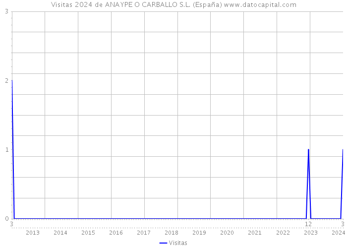 Visitas 2024 de ANAYPE O CARBALLO S.L. (España) 