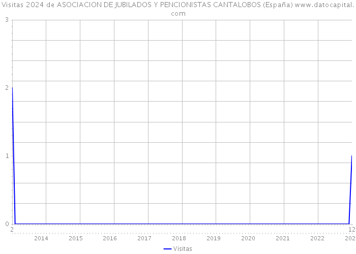 Visitas 2024 de ASOCIACION DE JUBILADOS Y PENCIONISTAS CANTALOBOS (España) 
