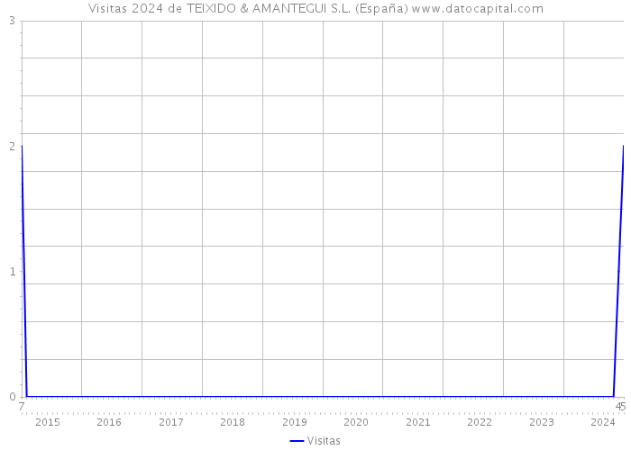 Visitas 2024 de TEIXIDO & AMANTEGUI S.L. (España) 