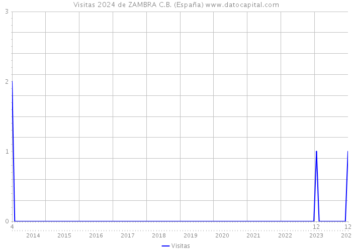 Visitas 2024 de ZAMBRA C.B. (España) 