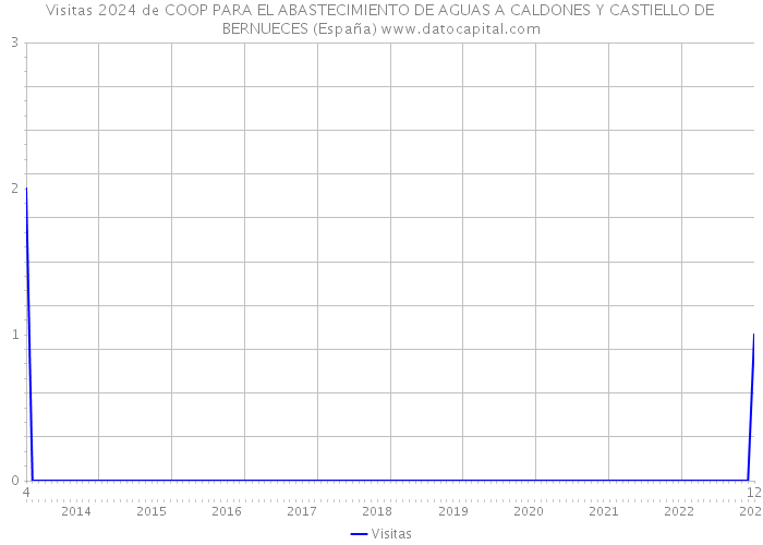Visitas 2024 de COOP PARA EL ABASTECIMIENTO DE AGUAS A CALDONES Y CASTIELLO DE BERNUECES (España) 