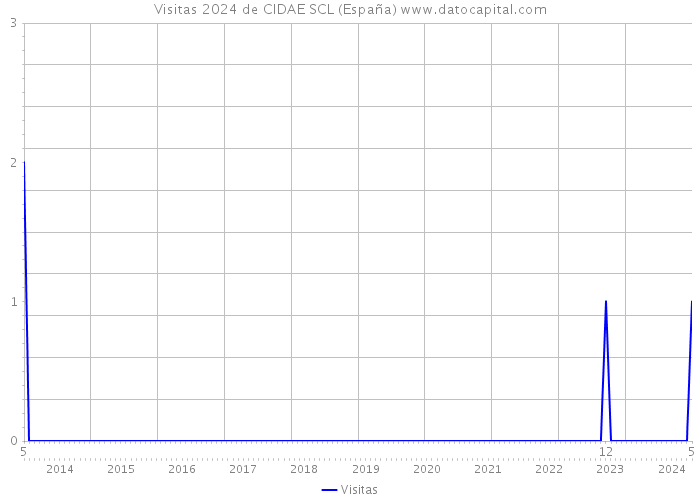 Visitas 2024 de CIDAE SCL (España) 