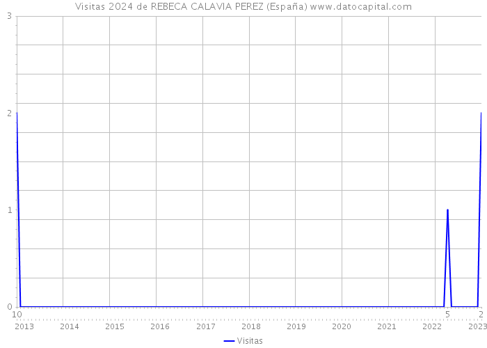 Visitas 2024 de REBECA CALAVIA PEREZ (España) 
