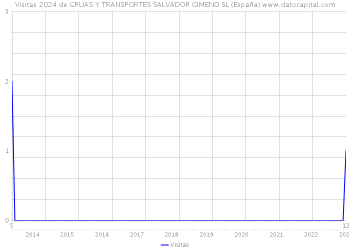 Visitas 2024 de GRUAS Y TRANSPORTES SALVADOR GIMENO SL (España) 