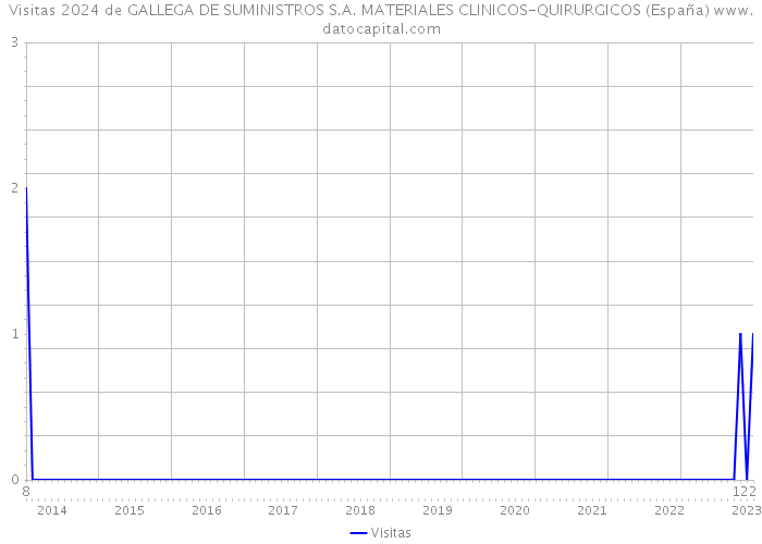 Visitas 2024 de GALLEGA DE SUMINISTROS S.A. MATERIALES CLINICOS-QUIRURGICOS (España) 