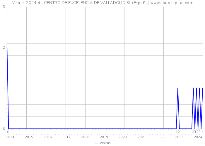 Visitas 2024 de CENTRO DE EXCELENCIA DE VALLADOLID SL (España) 