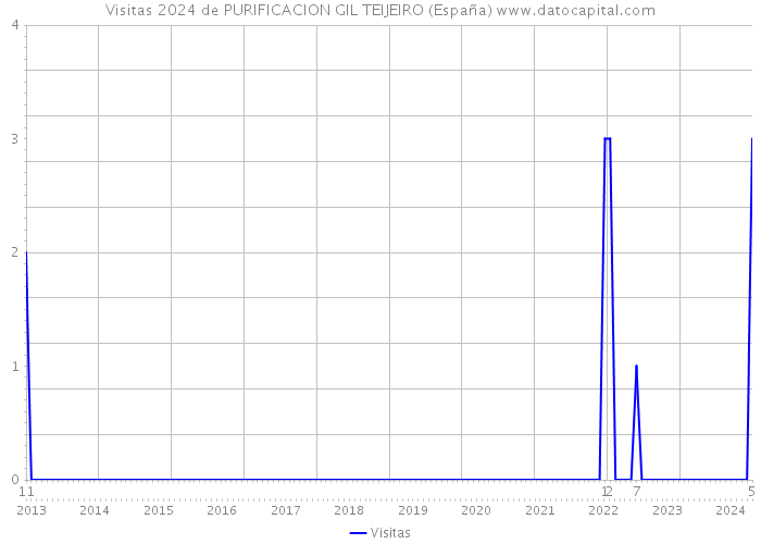 Visitas 2024 de PURIFICACION GIL TEIJEIRO (España) 