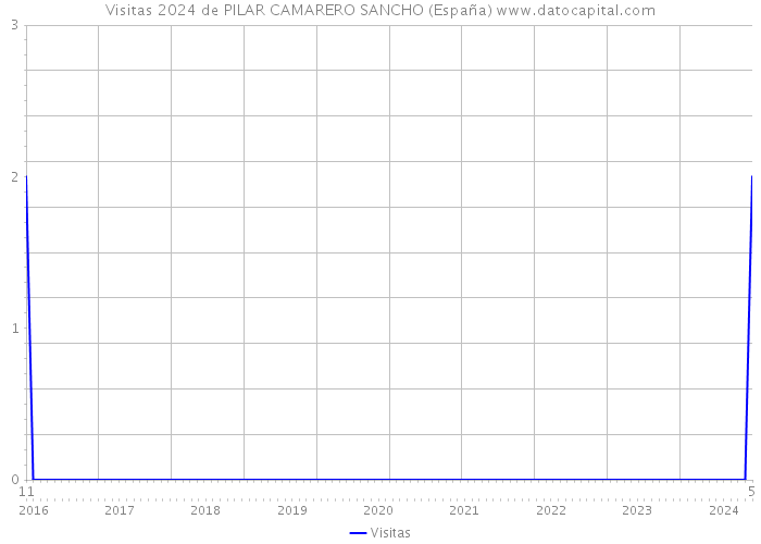 Visitas 2024 de PILAR CAMARERO SANCHO (España) 