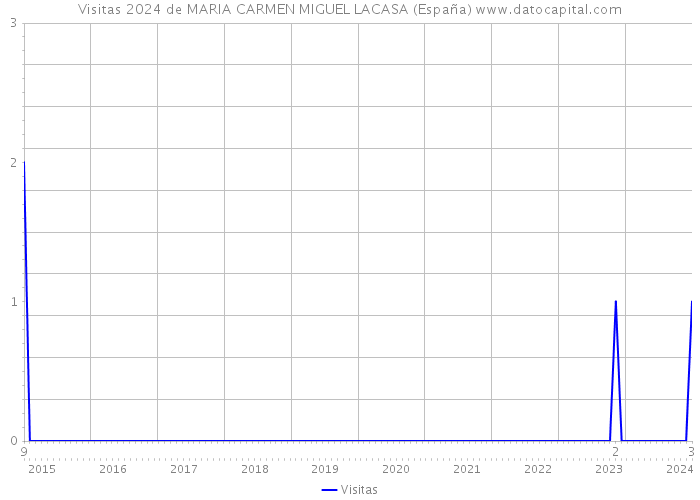 Visitas 2024 de MARIA CARMEN MIGUEL LACASA (España) 
