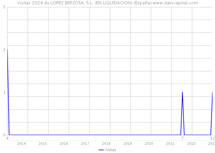 Visitas 2024 de LOPEZ BERZOSA, S.L. (EN LIQUIDACION) (España) 