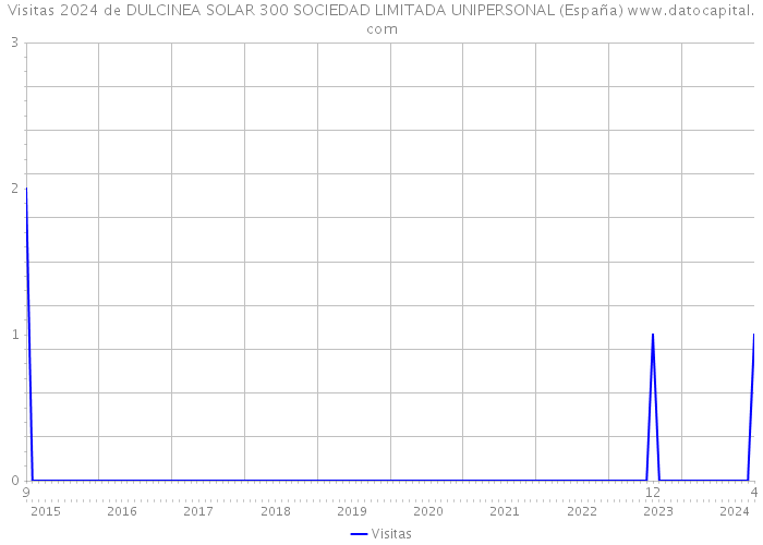 Visitas 2024 de DULCINEA SOLAR 300 SOCIEDAD LIMITADA UNIPERSONAL (España) 