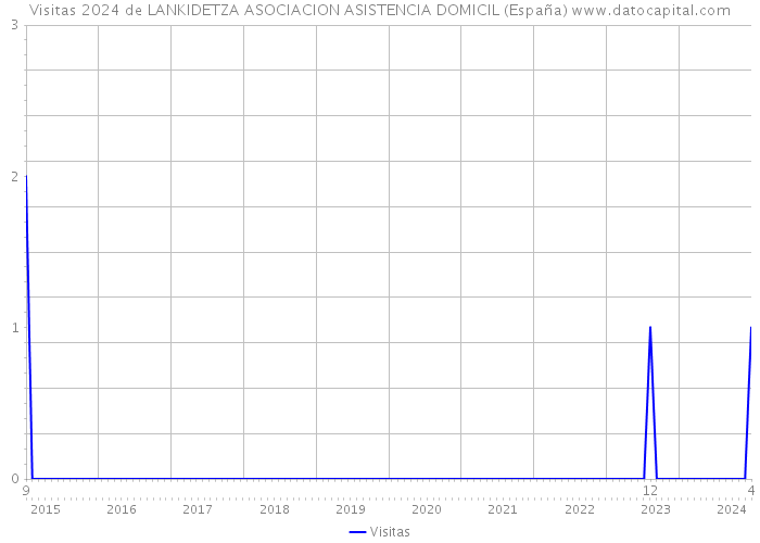 Visitas 2024 de LANKIDETZA ASOCIACION ASISTENCIA DOMICIL (España) 