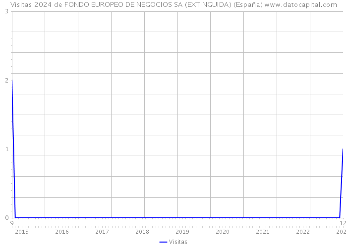 Visitas 2024 de FONDO EUROPEO DE NEGOCIOS SA (EXTINGUIDA) (España) 