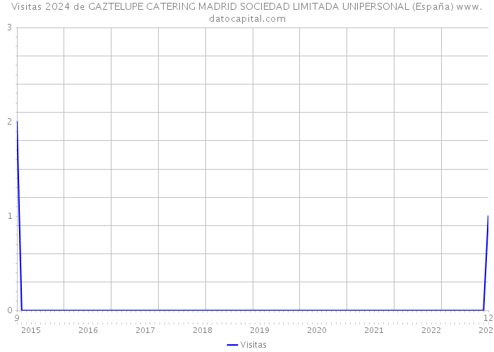 Visitas 2024 de GAZTELUPE CATERING MADRID SOCIEDAD LIMITADA UNIPERSONAL (España) 