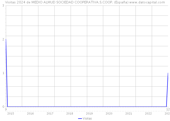 Visitas 2024 de MEDIO ALMUD SOCIEDAD COOPERATIVA.S.COOP. (España) 