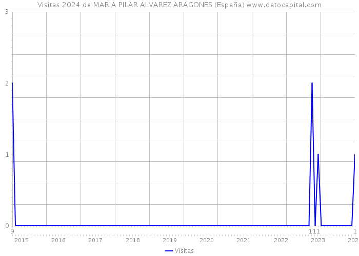 Visitas 2024 de MARIA PILAR ALVAREZ ARAGONES (España) 