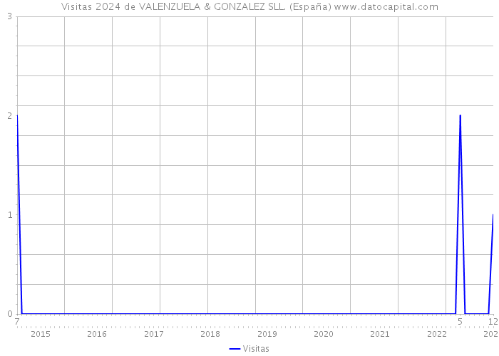 Visitas 2024 de VALENZUELA & GONZALEZ SLL. (España) 