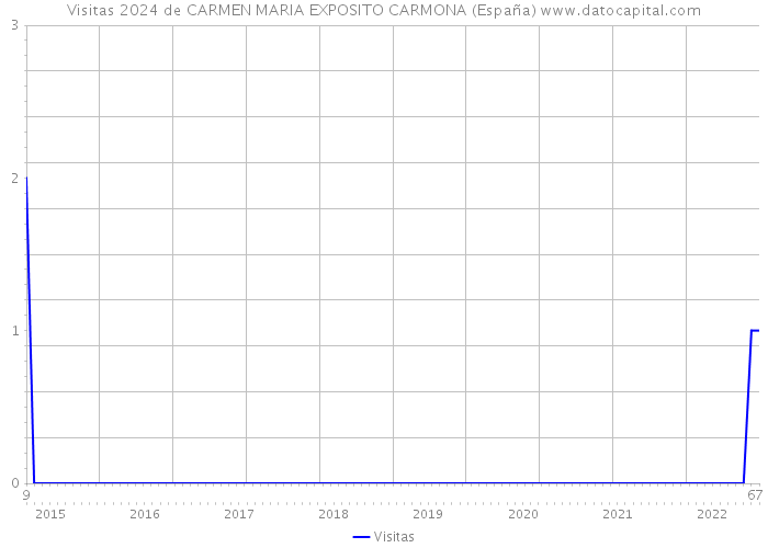 Visitas 2024 de CARMEN MARIA EXPOSITO CARMONA (España) 