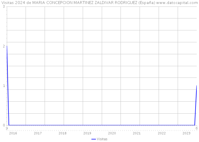 Visitas 2024 de MARIA CONCEPCION MARTINEZ ZALDIVAR RODRIGUEZ (España) 