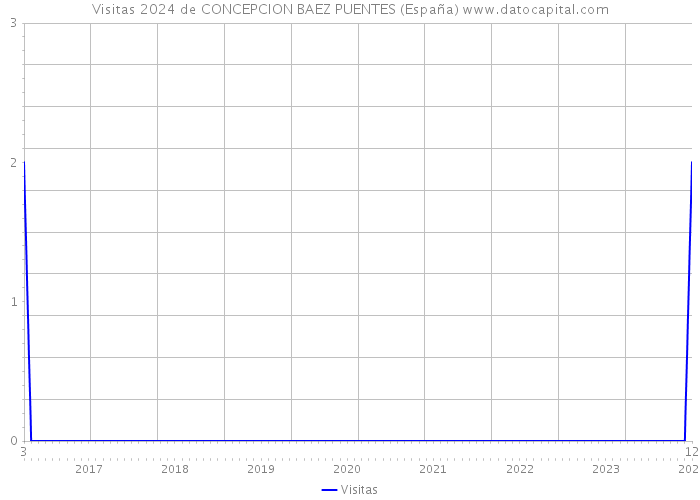Visitas 2024 de CONCEPCION BAEZ PUENTES (España) 