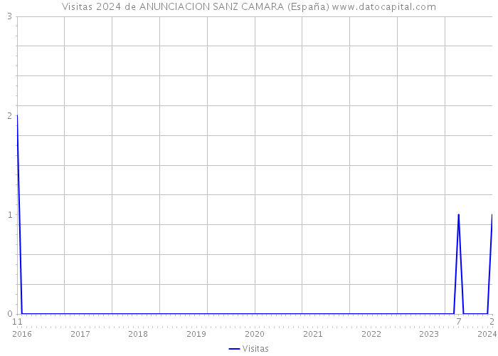 Visitas 2024 de ANUNCIACION SANZ CAMARA (España) 
