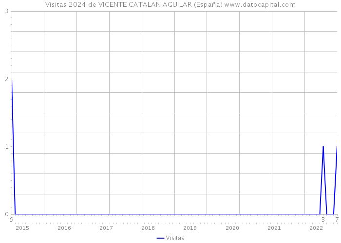 Visitas 2024 de VICENTE CATALAN AGUILAR (España) 