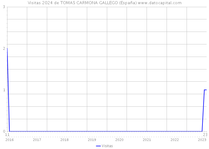 Visitas 2024 de TOMAS CARMONA GALLEGO (España) 