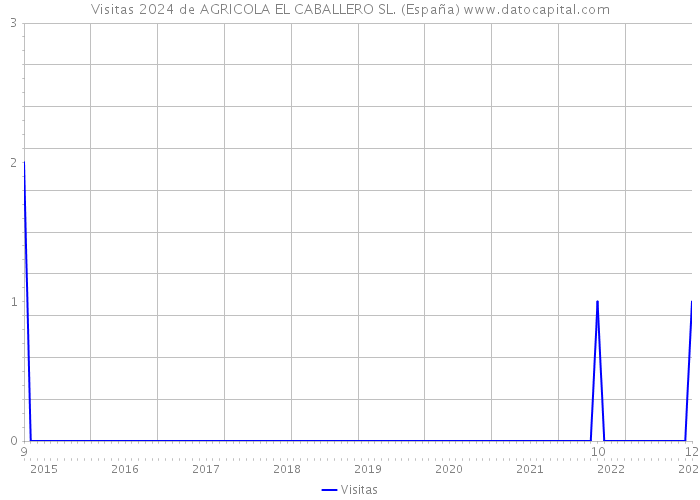 Visitas 2024 de AGRICOLA EL CABALLERO SL. (España) 