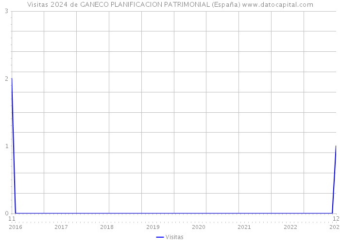 Visitas 2024 de GANECO PLANIFICACION PATRIMONIAL (España) 