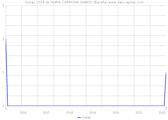 Visitas 2024 de NURIA CARMONA SABIDO (España) 