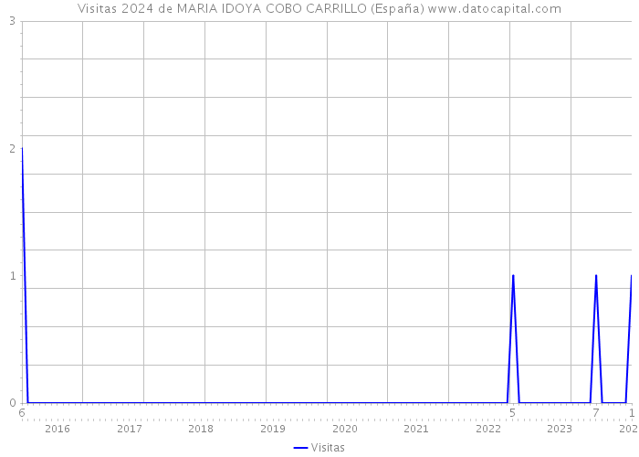 Visitas 2024 de MARIA IDOYA COBO CARRILLO (España) 