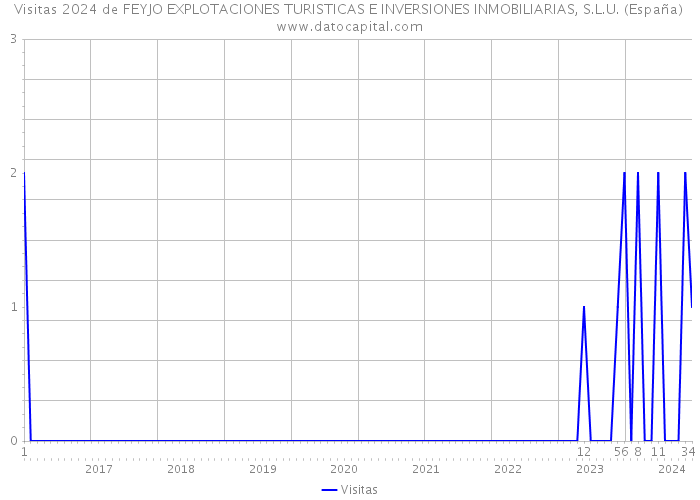 Visitas 2024 de FEYJO EXPLOTACIONES TURISTICAS E INVERSIONES INMOBILIARIAS, S.L.U. (España) 