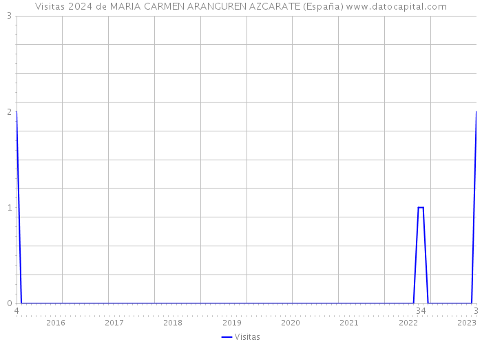 Visitas 2024 de MARIA CARMEN ARANGUREN AZCARATE (España) 