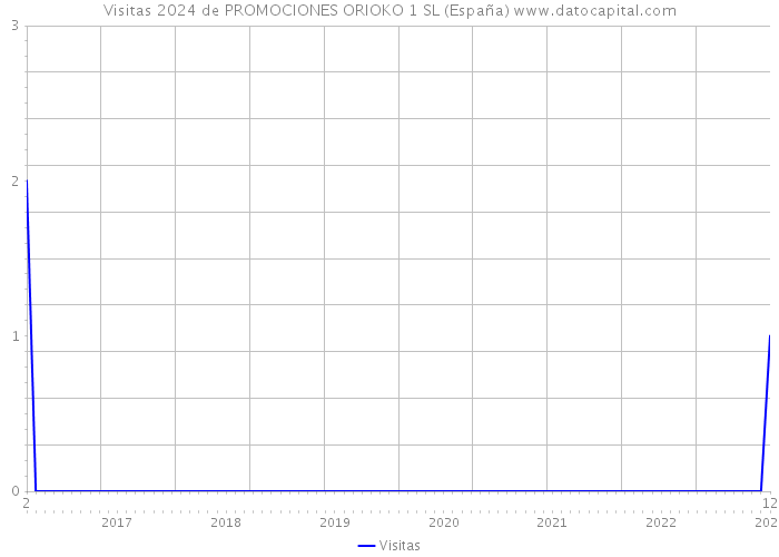 Visitas 2024 de PROMOCIONES ORIOKO 1 SL (España) 